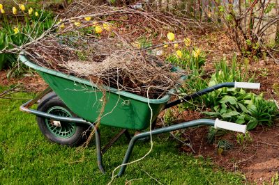 Removing Lawn Debris