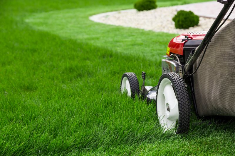 Lawn Mowing And Grass Cutting Services