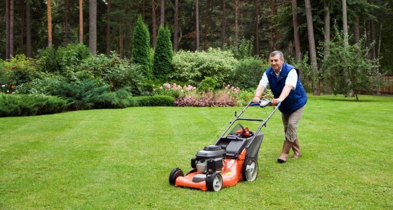 Lawn Mowing And Grass Cutting Services