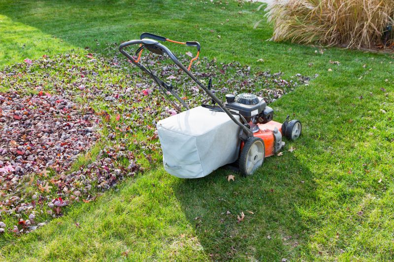 Autumn Lawn Preparation