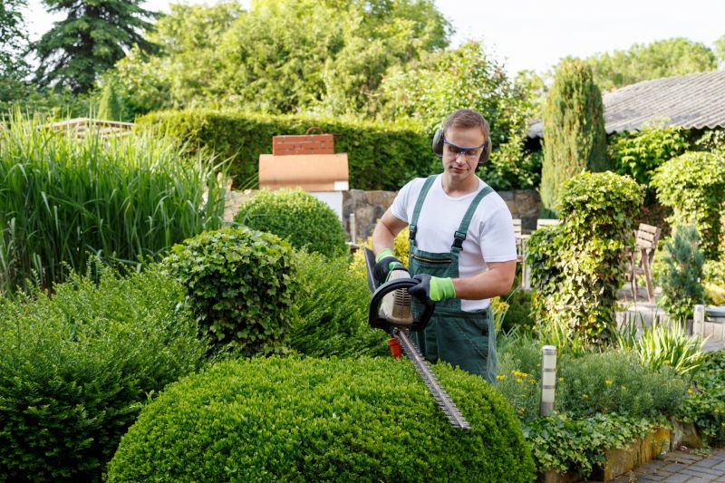Trim and Edging Service