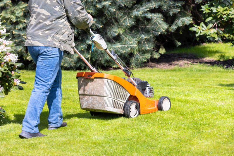 Lawn Care in Spring
