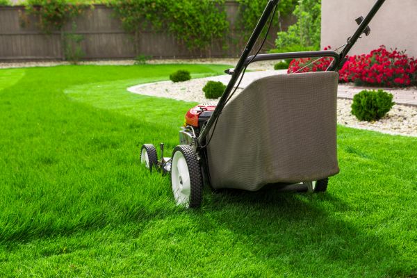 Grow your Lawn Mowing And Grass Cutting Services business